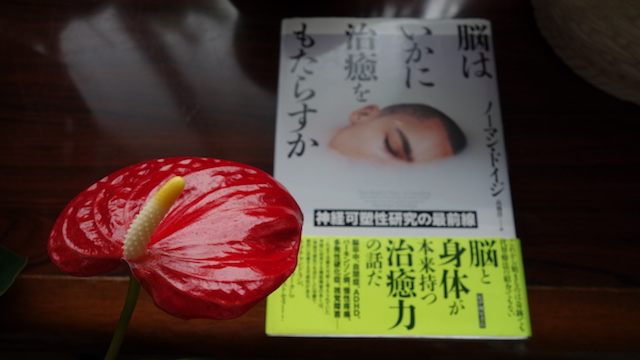 痛みについて学ぶための書籍